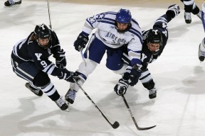 体育新闻中心团队协作亮点，体育新闻中心团队协作亮点怎么写