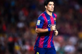 新闻中心通告体育保险覆盖范围调整说明，体育保险公司